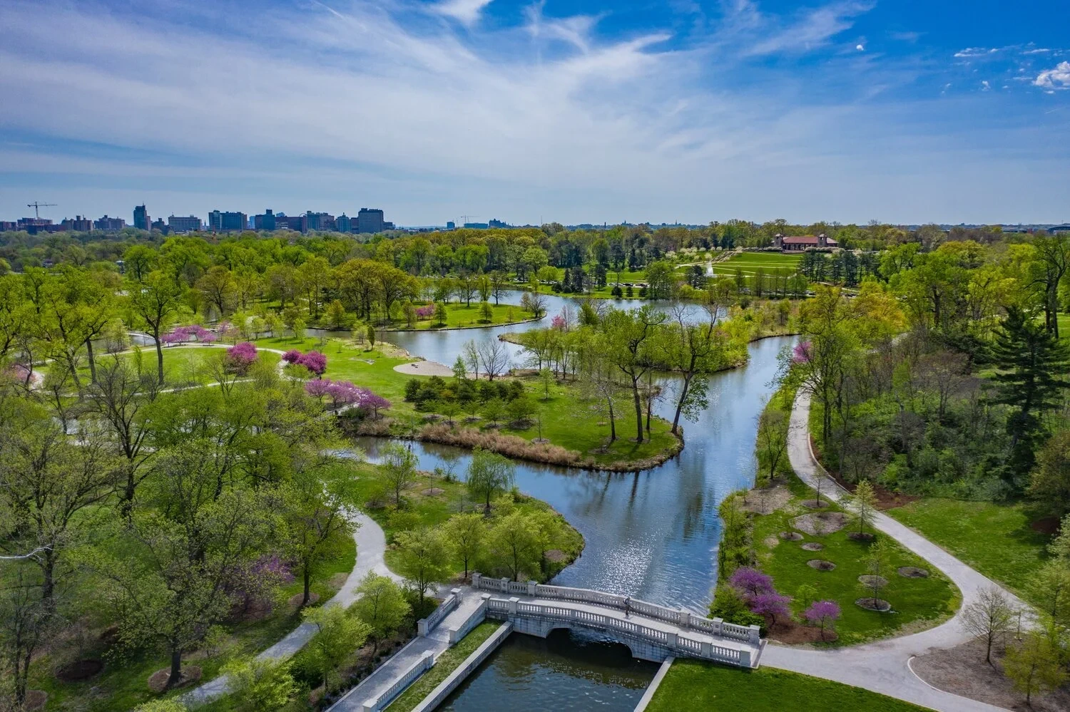 Our Clients at Work in the Community 1 forestpark